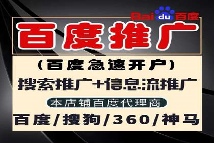 专业SEM服务公司案例分析报告